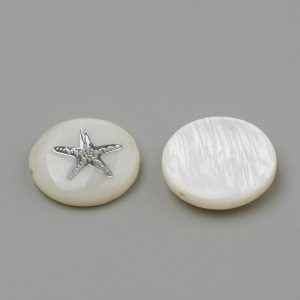 Školjka morska zvijezda